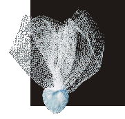 Sachet azul.